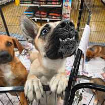 Thumbnail photo of Jill FJ #4