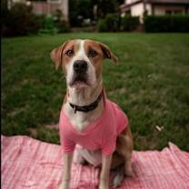 Thumbnail photo of Lenore #1