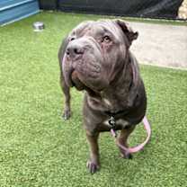 Thumbnail photo of Gwendolyn  #3