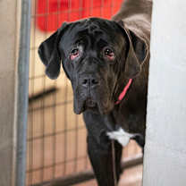 Thumbnail photo of Beverly (JN25-268) #1