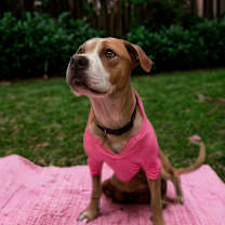 Thumbnail photo of Lenore #2