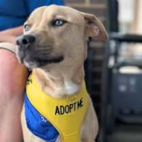 Thumbnail photo of Jake  (ln) #1