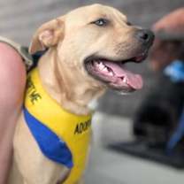 Thumbnail photo of Jake  (ln) #2