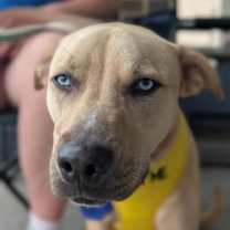 Thumbnail photo of Jake  (ln) #3