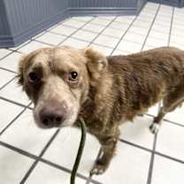 Thumbnail photo of Amazing max #2