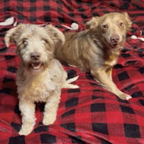 Thumbnail photo of Amazing max #3