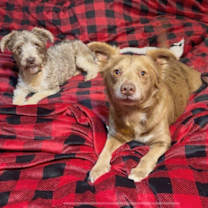 Thumbnail photo of Amazing max #4