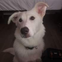 Thumbnail photo of Aurora #2