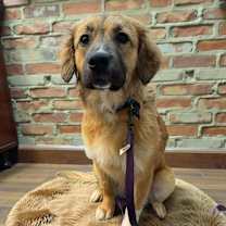 Thumbnail photo of SASHA #1