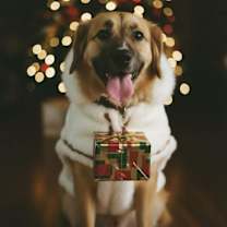 Thumbnail photo of SASHA #2