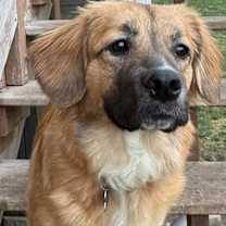 Thumbnail photo of SASHA #4