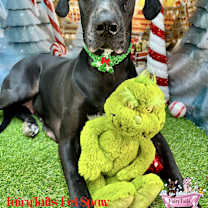 Thumbnail photo of Heidi #2