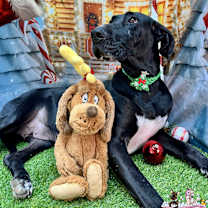 Thumbnail photo of Heidi #3