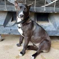 Thumbnail photo of Kimmy #2