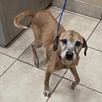 Thumbnail photo of Colby H3 #3