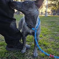 Thumbnail photo of DONUT #3