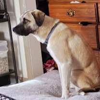 Thumbnail photo of Jimmy #1