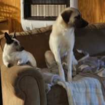 Thumbnail photo of Jimmy #2