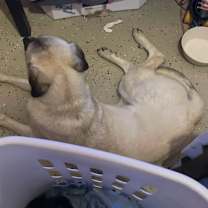 Thumbnail photo of Jimmy #3