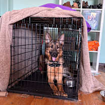 Thumbnail photo of Fitzcarraldo #4