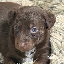 Thumbnail photo of Memphis #1