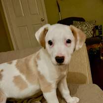 Thumbnail photo of Tater #3