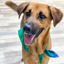 Thumbnail photo of Fynn #1