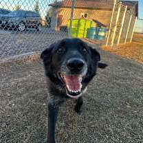 Thumbnail photo of Sam #3