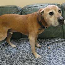 Thumbnail photo of Bear #3