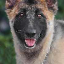 Thumbnail photo of Flora von Flaca #1