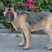 Thumbnail photo of Flora von Flaca #2