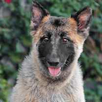 Thumbnail photo of Flora von Flaca #3