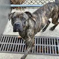 Thumbnail photo of Emerald #2