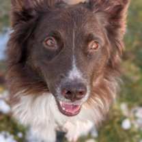 Thumbnail photo of Ruben #3