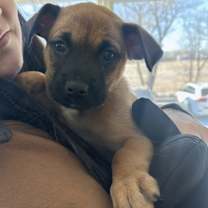 Thumbnail photo of Auburn #2