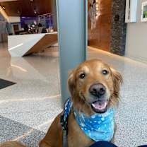 Thumbnail photo of Kirby #3