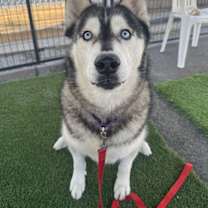 Thumbnail photo of Hunter #1