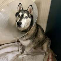 Thumbnail photo of Hunter #4