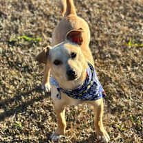 Thumbnail photo of Hercules #1