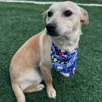 Thumbnail photo of Hercules #4