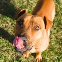 Thumbnail photo of Marco #1