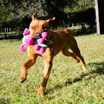 Thumbnail photo of Marco #2