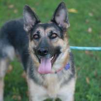 Thumbnail photo of Willow #3