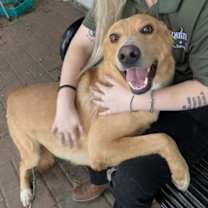 Thumbnail photo of Hercules #1