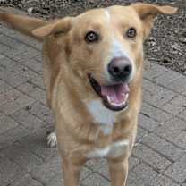 Thumbnail photo of Hercules #2