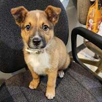 Thumbnail photo of Esme #2