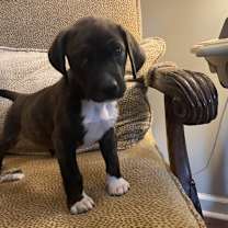 Thumbnail photo of TIPPY #4