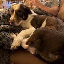 Thumbnail photo of Wesley #1