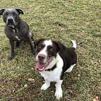 Thumbnail photo of Wesley #2