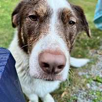 Thumbnail photo of Wesley #4